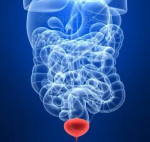 tirzepatide after semaglutide Semaglutide to Tirzepatide Dosing : r/JoinMochiHealth