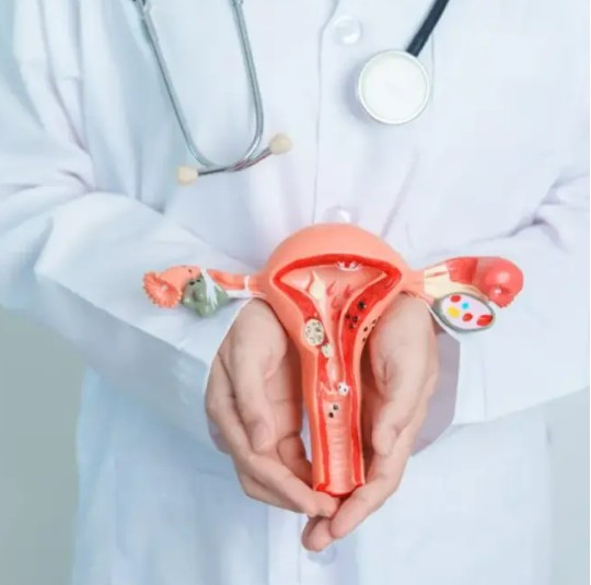 PRM Miami Care Team | Endometriosis & Pelvic Pain Care